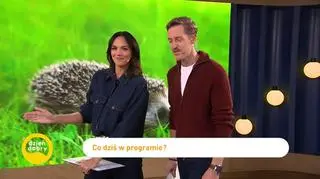 Rogal świętomarciński - król wśród rogali 