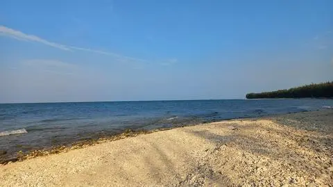 Zamknięto 13 kąpielisk w całej Polsce. Tym razem przyczyną nie są sinice, a groźna bakteria