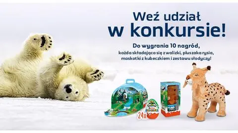 Konkurs dzikie zwierzęta 
