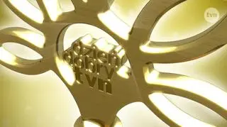 Pozytywki Dzień Dobry TVN za styczeń 2023. Kto otrzymał nominację? 