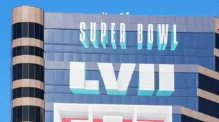 Rihanna na finale Super Bowl. "Ten występ będzie wypełniony po brzegi"