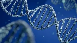 łańcuch DNA 