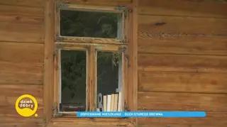 Odpicowane mieszkanie - duch starego drewna