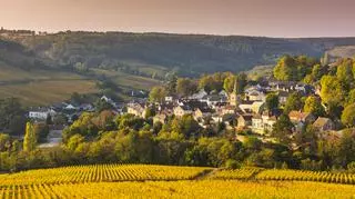 Burgundia - co warto zwiedzić i na co zwrócić uwagę podczas pobytu?