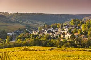 Burgundia