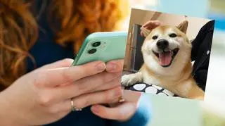Nie żyje popularny w Internecie pies. "Nie smućcie się"