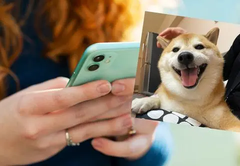 Nie żyje popularny w Internecie pies. "Nie smućcie się"