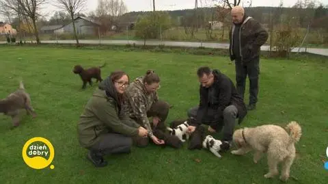 DD_20231127_Grzyby_rep_REP