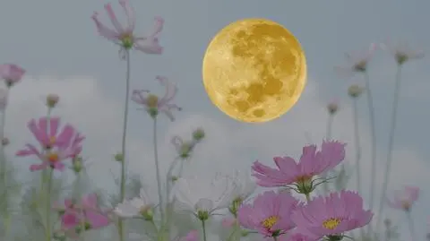 Horoskop dzienny na czwartek, 16 maja 2024 r. dla wszystkich znaków zodiaku