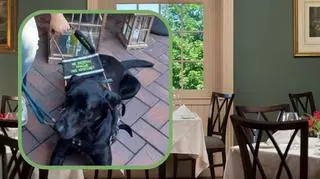 Zmuszono niewidomą Anię do opuszczenia restauracji. "Poczułam się upokorzona"