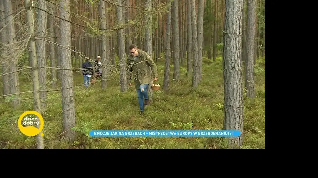 DD_20220910_Grzyby_Live_REP