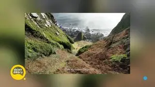 Najbardziej samotna owca Wielkiej Brytanii uratowana