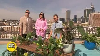 Jan nawadniać kwiaty w domu i na balkonie, kiedy wyjeżdżamy na urlop?