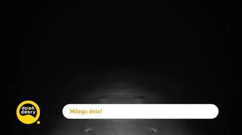 DD_20240413_Wystep_REP