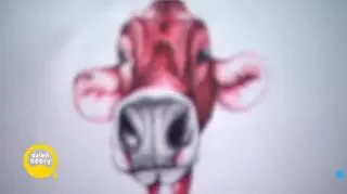 Dzień z życia lekarza krów