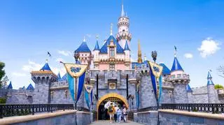 Disneyland ukarze osoby oszukujące w kolejkach. Grozi im dożywotni zakaz wstępu 