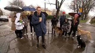 Nieznany sprawca atakuje psy w Gdyni Orłowie