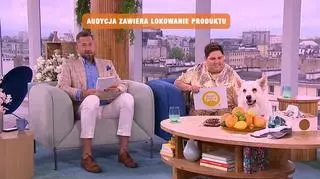 Dzieci i pies pod jednym dachem