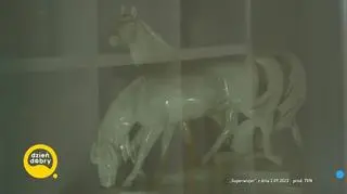 Tajemnice stadniny w Dziemianach