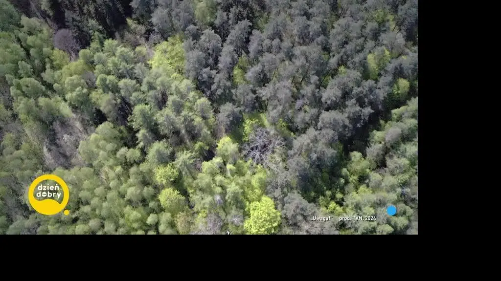 DD_20240505_Uwaga_rep_REP