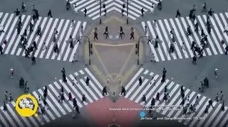 Jakie zawody zostaną zastąpione przez AI? 