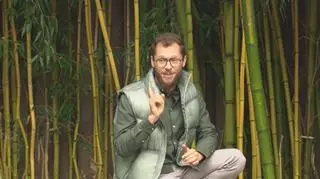 Bambusy w polskich ogrodach. Jak dbać o nie zimą?