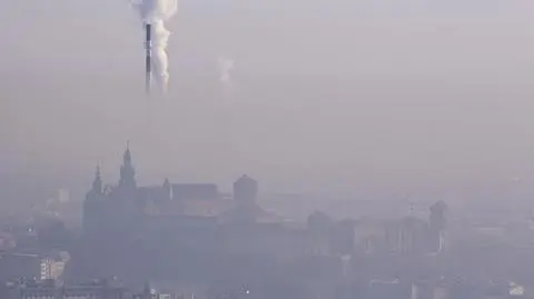 Smog w Krakowie i Poznaniu