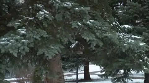 DD_20231208_Pogoda_REP