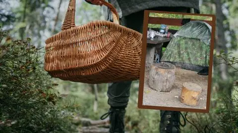 Rumuńscy zbieracze grzybów w podkarpackich lasach. Służby uspokajają