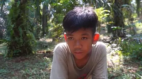 Dzieci na plantacjach oleju palmowego 