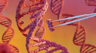 Czy styl życia wpływa na nasze DNA? Badacze rozwiewają wątpliwości  