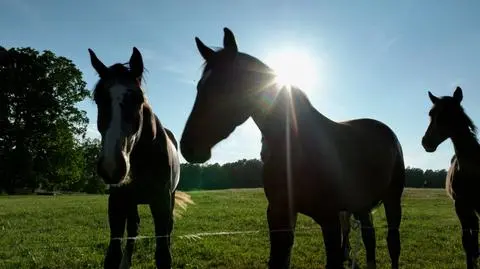 Gałkowo, czyli miejsce zrodzone z pasji