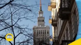 Miejska Jungla. Jak zachowałbyś się w takiej sytuacji?