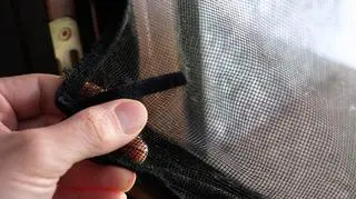 Masz dość komarów i innych nieproszonych gości? Sprawdź jak samodzielnie zrobić moskitierę