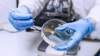 Dzieci zakażone paciorkowcem nie mają leków. Lekarze alarmują. "Co będzie potem, nie wiem"