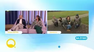 Co nowego w show-biznesie?