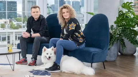 Podróż z psem samochodem - co zabrać? "To must have każdego psiego właściciela"