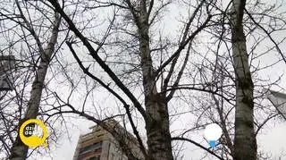 Trwająca pamięć o Annie Jantar 