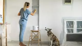 kobieta, która maluje ścianę 