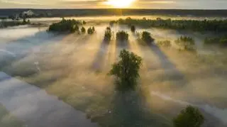 Mgły o wschodzie słońca nad łąkami