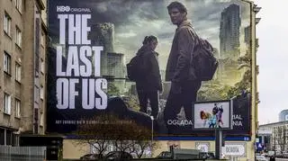 Suchary Ellie z serialu "The Last of Us". Czy znasz je wszystkie?