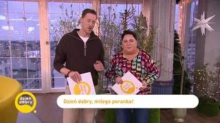 Damian vs jajko vol. 2