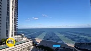 Miami - śladami filmowych hitów 