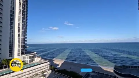 DD_20231118_Miami_REP