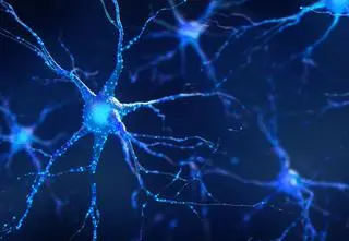 Dzięki drukarce 3D badacze chcą naprawiać uszkodzenia w mózgu. W jaki sposób? 