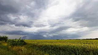 Pogoda na Dzień Ojca. Będzie upalnie i burzowo. Gdzie aura zrobi się niebezpieczna?
