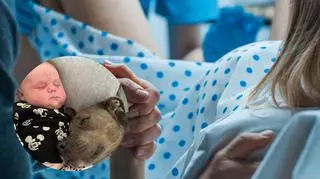 Pies pomaga jej w codziennym funkcjonowaniu. Towarzyszył opiekunce nawet na sali porodowej