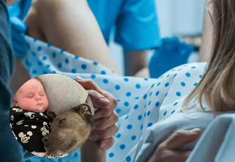 Pies pomaga jej w codziennym funkcjonowaniu. Towarzyszył opiekunce nawet na sali porodowej