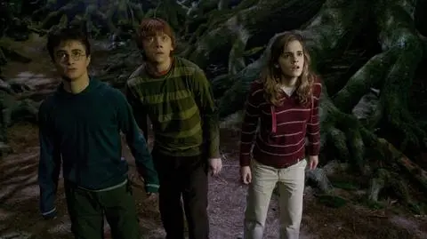 Serial "Harry Potter" - wiemy, kto zagra pana Weasleya i Jęczącą Martę