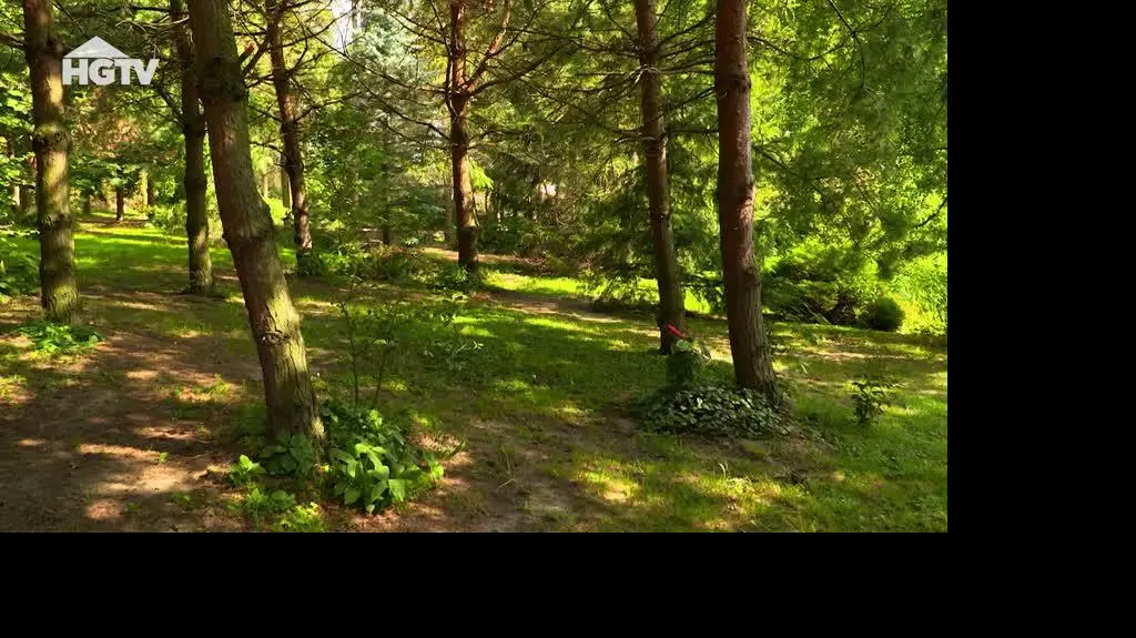 20230718_HGTV_MWO_Rosliny